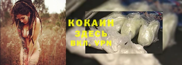 дживик Алзамай