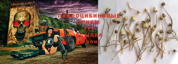 дживик Алзамай