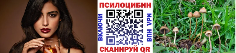 MEGA ONION наркотики Ленинск Галлюциногенные грибы ЛСД
